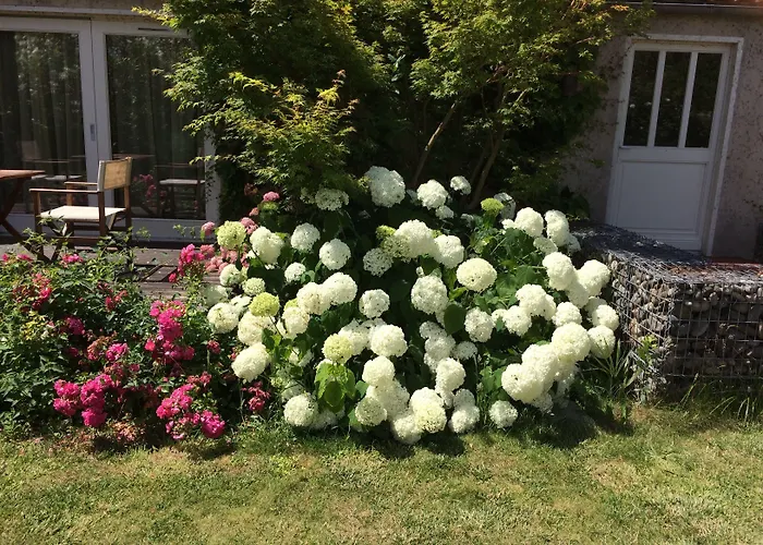 Ligaro - Отель 3*